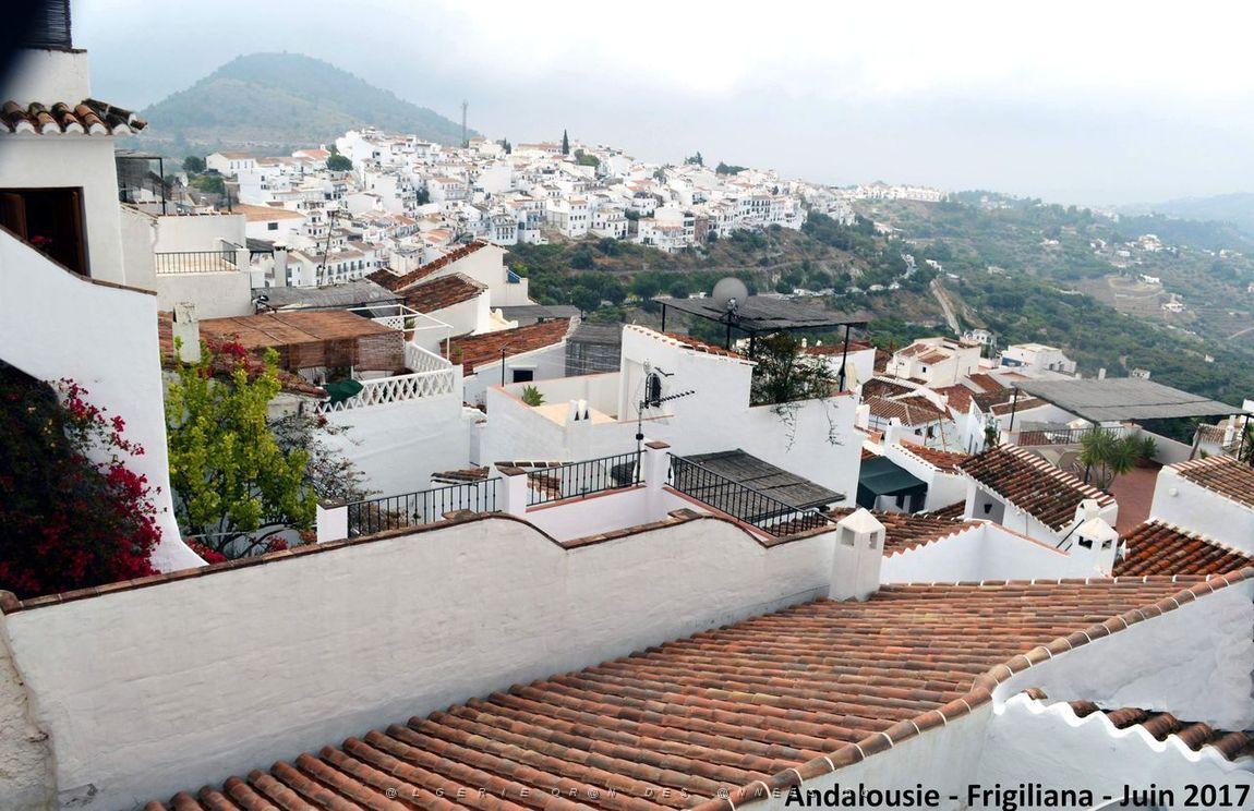570 - Frigiliana.JPG